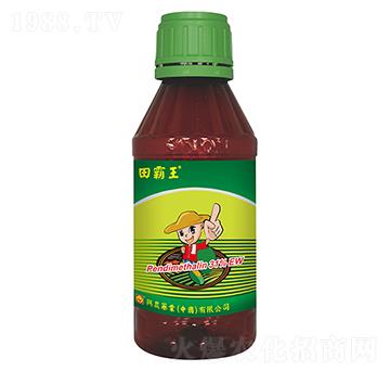 31%�������`ˮ�鄩-�����-�d�r(n��ng)ˎ�I(y��)