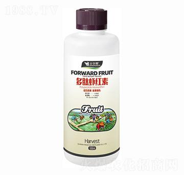 �����r�t��-�S�A��-�S�A�ʘI(y��)