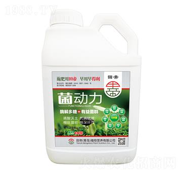 ������-���