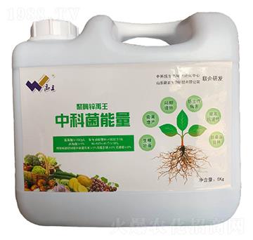 �пƾ�����-���r(n��ng)����