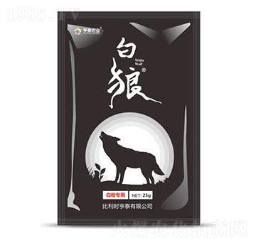 �׷۲����ð���-��̩�r(n��ng)�I(y��)