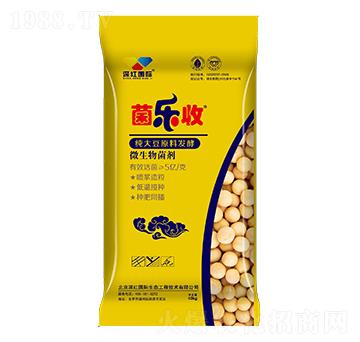 ΢�������-����(l��)��-��t��(gu��)�H