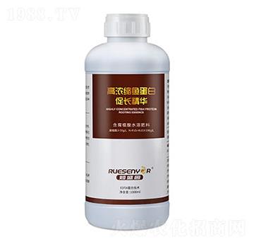 �ߝ�s�~���״��L���A-����������