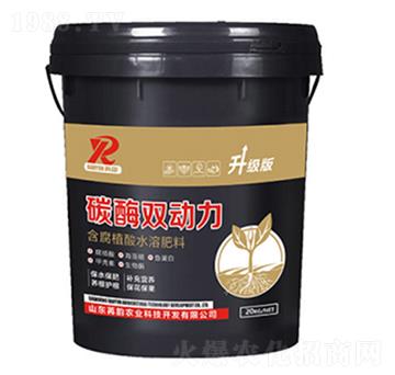 ø���p��(d��ng)������(j��)��-����r(n��ng)�I(y��)