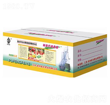 �����S���-���S�ʘI(y��)