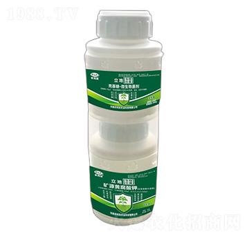 ���������ײ�-����-�r���l(f��)