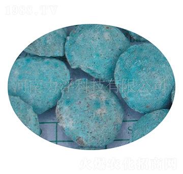 �ؙ������ؘ��-�����Ƽ�