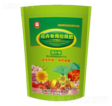 �^�~�ͻ��܌��ÿ�ጷ�-�Ŷ�-�����Ƽ�