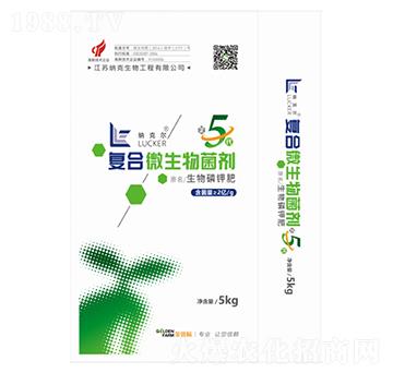 �ͺ�΢�������-�{������