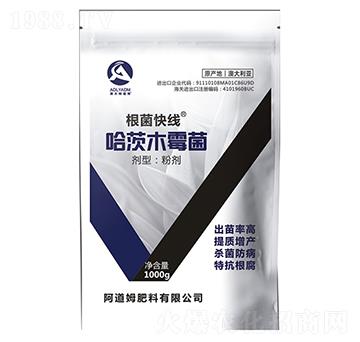 1000g����ľù��-�����쾀(xi��n)-����ķ