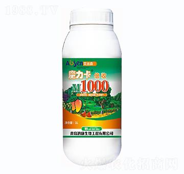 ħ��������-��������