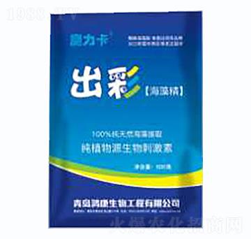 出彩·海藻精-鴻康生物