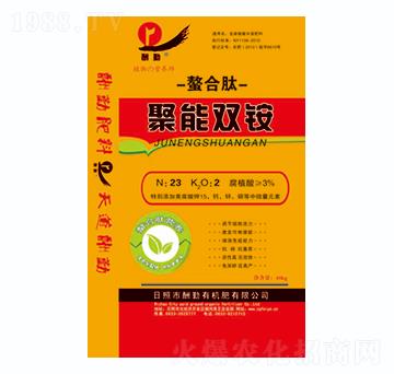 �����p�@-����