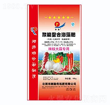 �������⌣�þ������Ϻ����-����