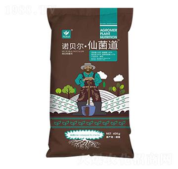 �Zؐ�����ɾ���-������