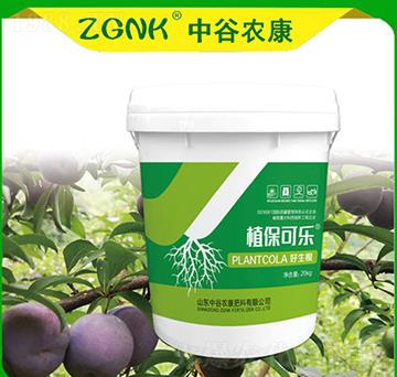 ������-ֲ���ɘ�-�й��r(n��ng)��