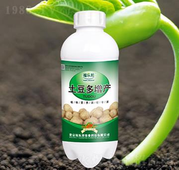 土豆多增產(chǎn)-福樂邦
