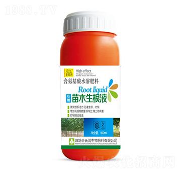 ��ľ����Һ-ʥ�ϝ�