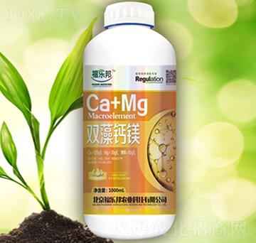 �p���}�V-����(l��)��