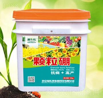 �w����-����(l��)��