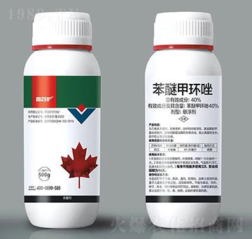 40%���Ѽ׭h(hu��n)��-�ΰ��o(h��)