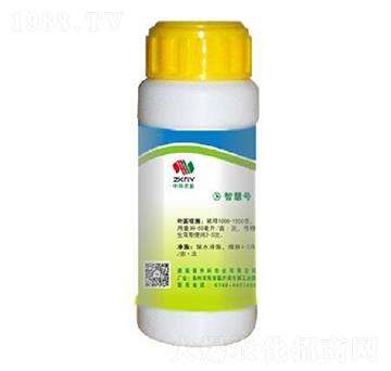 �~����-�п��r�I(y��)