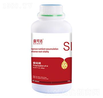 �O����-����_-�к̄���