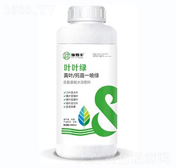 黃葉死苗一噴綠-葉葉綠-施易豐