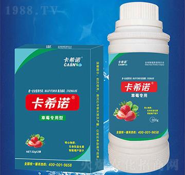 草莓專用-卡希諾