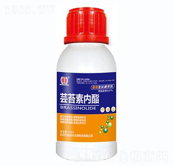 �|̦�؃�(n��i)��-�����S