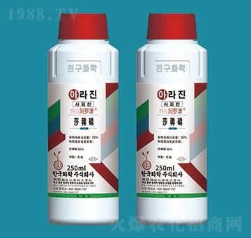 30%ɯ����-���_��-�n�ѻ��W