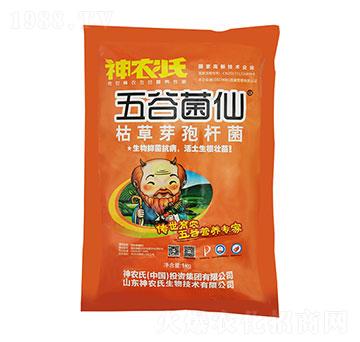 �ݲ�ѿ�ߗU��-��Ⱦ���-���r(n��ng)��