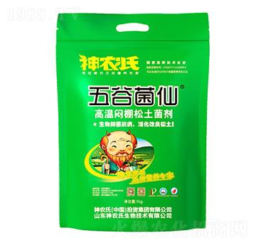 高溫悶棚松土菌劑-五谷菌仙-神農(nóng)氏
