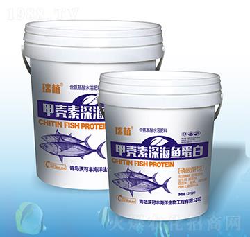 �ך�����~(y��)����-�ֿ�