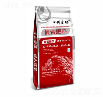 �пƐ۵؏ͺϷ���25-9-13-�п�