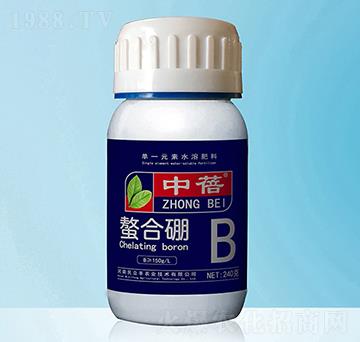 ������-����-�����S