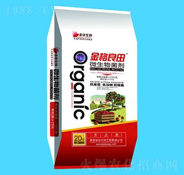 ΢�������-�������-�������