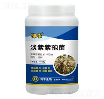 �������߾�-�֚�-���S����