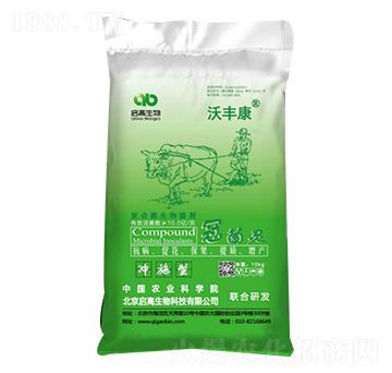 �ھ��`�ͺ�΢�������-���S��-��������