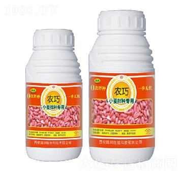 С����N��(zhu��n)��-�r(n��ng)��-�ɰ�����