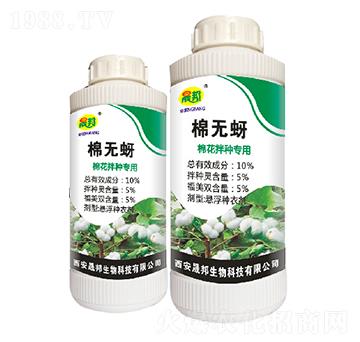 �޻���N��(zhu��n)��-�ޟo(w��)��-�ɰ�����