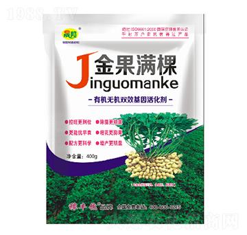 ����M��-�ɰ�����