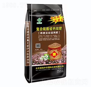 �ͺ�������}�V��-�G�����r