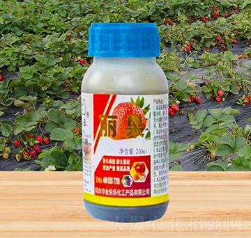 ����-�𲮘�