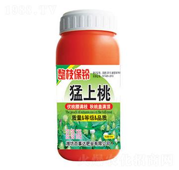 ��֦���������-�����_