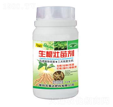 �������焩-�����_