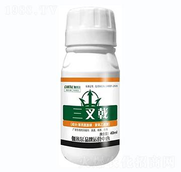 三叉戟-伽米爾-羅思姆