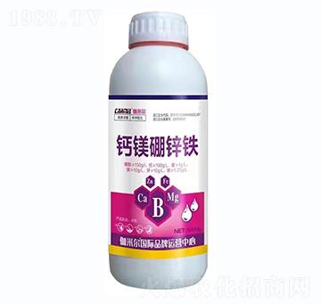 �}�V���\�F-٤�נ�-�_˼ķ