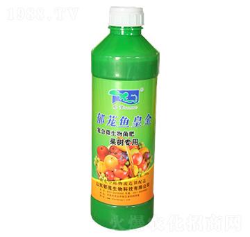 ����(sh��)��(zhu��n)��-���d�~(y��)�ʽ�-���d����