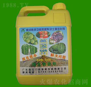 �����-Ӣ��